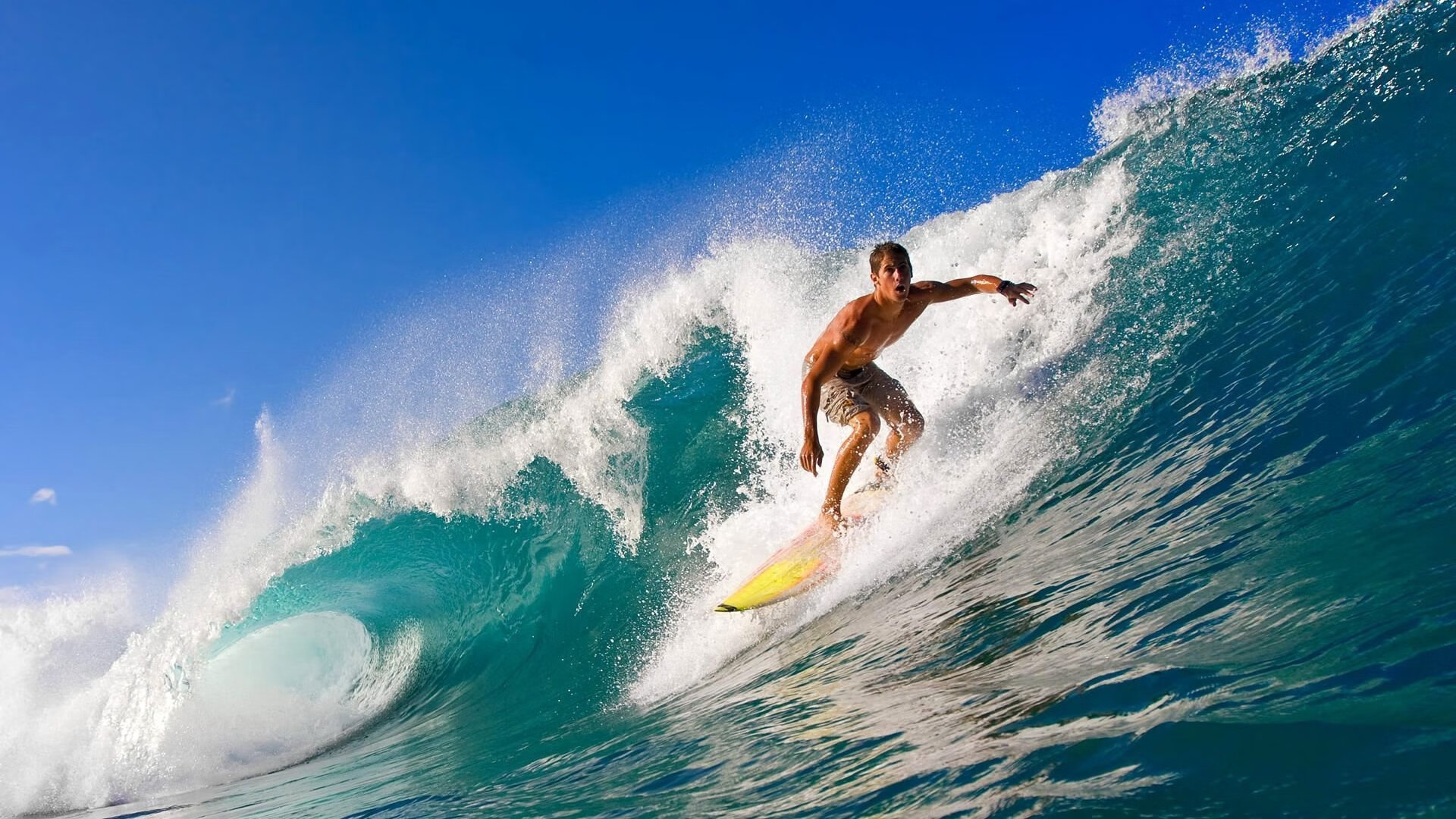 莱德基长距离自由泳无人可敌，莱德基自由泳技术